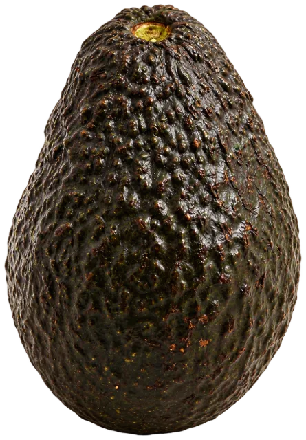 Hass avocado from Mexico